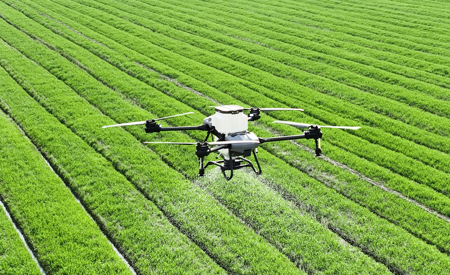 agriculture